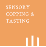 �������׽��÷��͸�